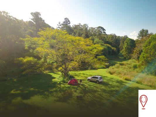 Green Escapes in Dudley: Parks and Natural Spaces to Enjoy