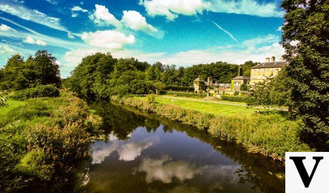 Green Escapes in Glasgow: Parks, Gardens, and Nature Reserves