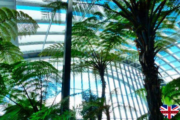 Sky Garden: a panoramic view of the most beautiful monuments in London