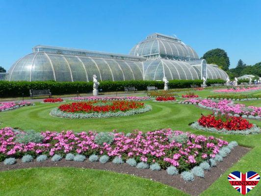 Kew Gardens: a magnificent botanical garden in West London 