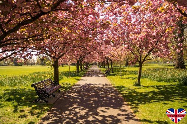 Top 10 parks in London to walk around